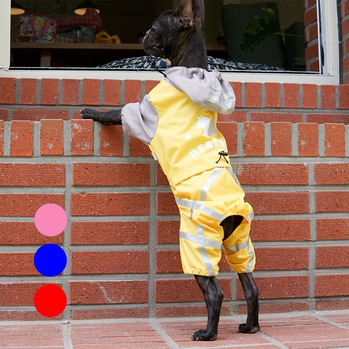 리얼펫 컬러플 3color 강아지 우비 레인코트 비옷 (S~XL)