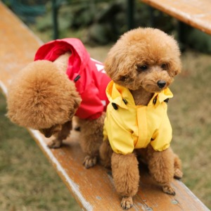 리얼펫 우비소녀 2color 강아지 우비 레인코트 비옷 (S~XL)