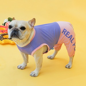 리얼펫 컬러팝 올인원 래쉬가드 (바이올렛)강아지 수영복 강아지옷