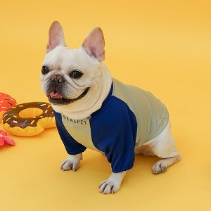 리얼펫 컬러팝 라운드 래쉬가드 (그레이)강아지 수영복 강아지옷