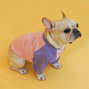 리얼펫 컬러팝 라운드 래쉬가드 (핑크)강아지 수영복 강아지옷